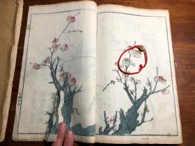 （有补图）多色套印：清代刻本《芥子园画传二集》一函四册全（第一册序言缺前三页）梅谱 竹谱 兰谱 菊谱 青在堂画学浅说 国画水墨画绘画艺术鉴赏学习启蒙