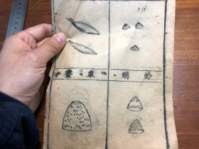 25明版本草纲目版画残页：明版木刻《本草纲目》残页 版画 一张 李时珍 明板明版标本 中医药方医案标本 古书古籍老书旧书线装书旧纸老纸残页残书标本可用作古籍版本留真谱 漂亮少见