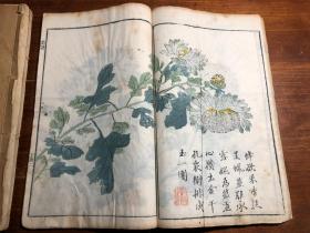 （有补图3）多色套印：清代刻本《芥子园画传二集》一函四册全（第一册序言缺前三页）梅谱 竹谱 兰谱 菊谱 青在堂画学浅说 国画水墨画绘画艺术鉴赏学习启蒙