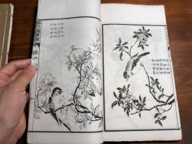 （店里有补图）清末或民国白纸精印《芥子园画传初集》+《芥子园画传二集》《芥子园画传三集》12册全 芥子园画谱大全初集二集三集 白纸大开本 青在堂画学浅说 国画水墨画绘画艺术鉴赏学习启蒙 漂亮少见