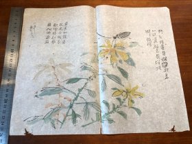 6清代刻本“多色套印”《十竹斋书画谱》存一张 芥子园画传 青在堂画谱 中国刻本 多色套印 老纸老书古书残叶残页残书标本可用作古籍版本留真谱 中国水墨画 漂亮少见