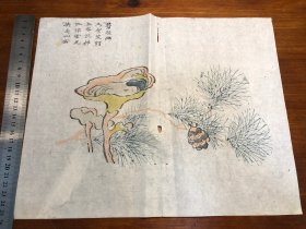 10清代刻本“多色套印”《十竹斋书画谱》存一张 芥子园画传 青在堂画谱 中国刻本 多色套印 老纸老书古书残叶残页残书标本可用作古籍版本留真谱 中国水墨画 漂亮少见