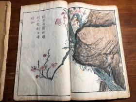 （有补图2）多色套印：清代刻本《芥子园画传二集》一函四册全（第一册序言缺前三页）梅谱 竹谱 兰谱 菊谱 青在堂画学浅说 国画水墨画绘画艺术鉴赏学习启蒙