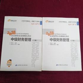 2018年会计专业技术资格考试应试指导及全真模拟测试：中级财务管理（上下册）