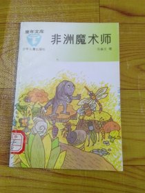 非洲魔术师