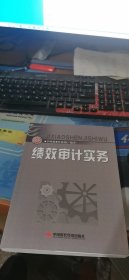 绩效审计实务