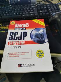 JAVA开发专家：Java5国际认证SCJP试题精解