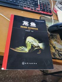 观赏鱼养殖与鉴赏系列：龙鱼