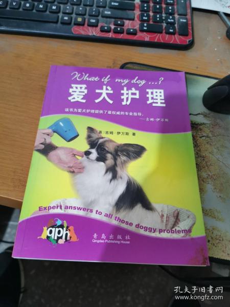 爱犬护理