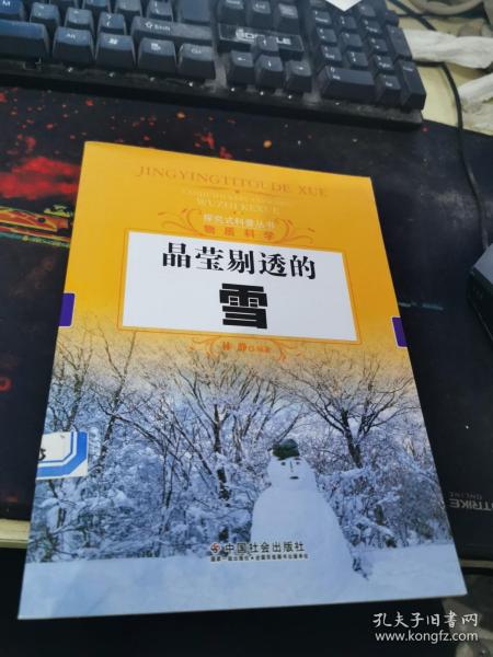 探究式科普丛书·物质科学：晶莹剔透的雪