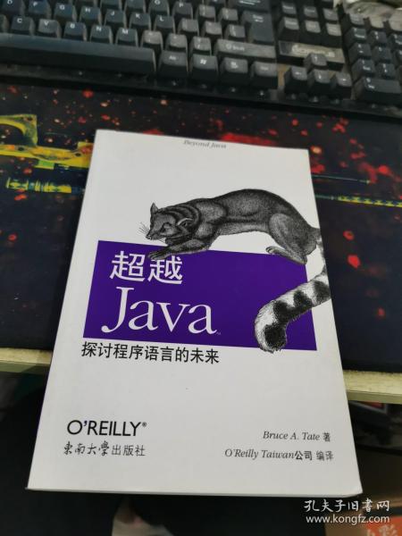 超越 Java：探讨程序语言的未来