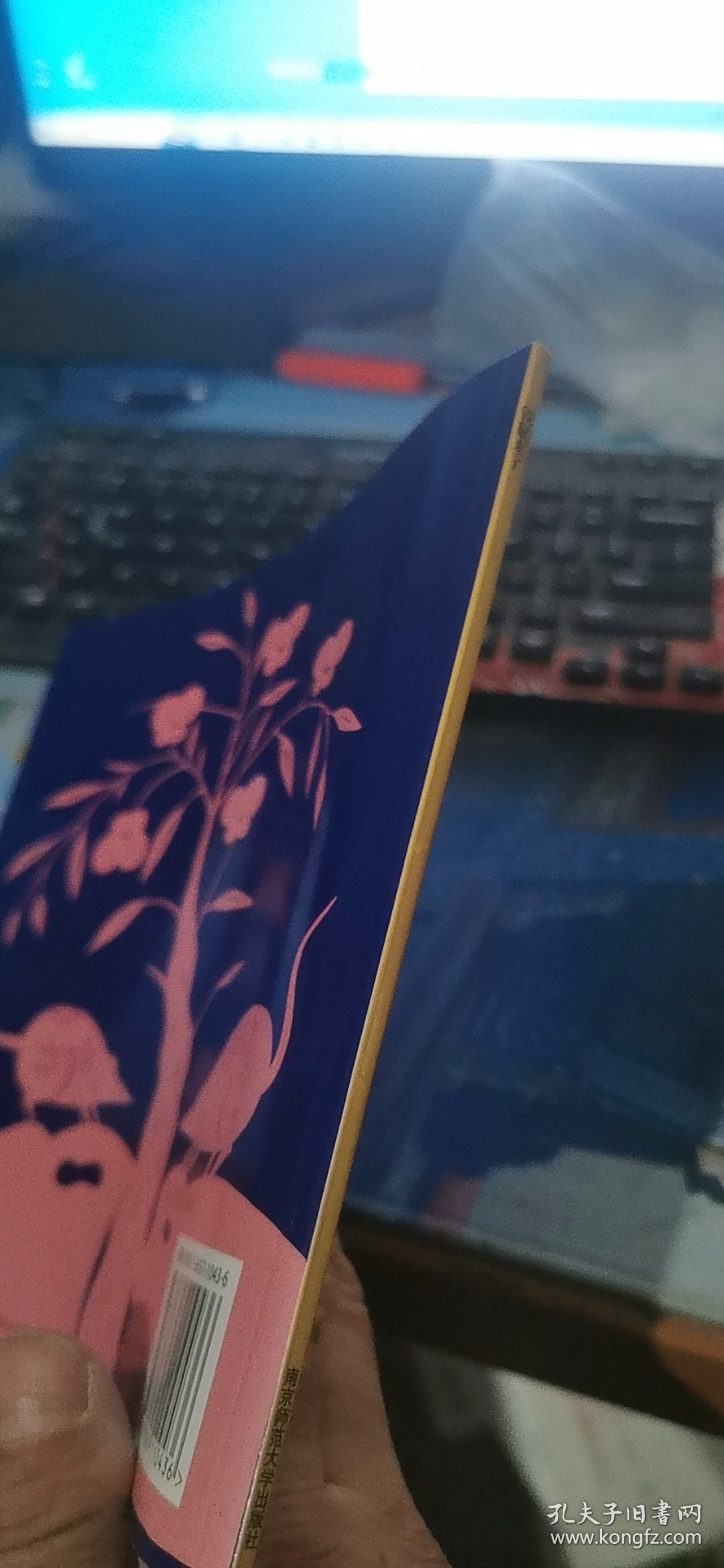 幼儿园早期阅读资源. 幸福的种子.  大班. 下. 钱
鼠来了