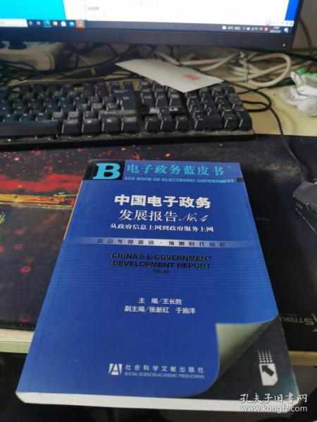 中国电子政务发展报告NO.4：从政府信息上网到政府服务上网