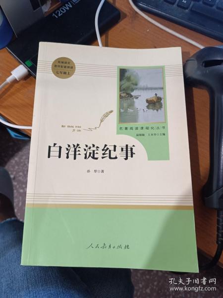 白洋淀纪事 名著阅读课程化丛书（统编语文教材配套阅读）七年级上