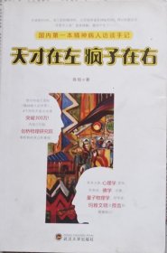 天才在左疯子在右 （国内第一本精神病人访谈手记）