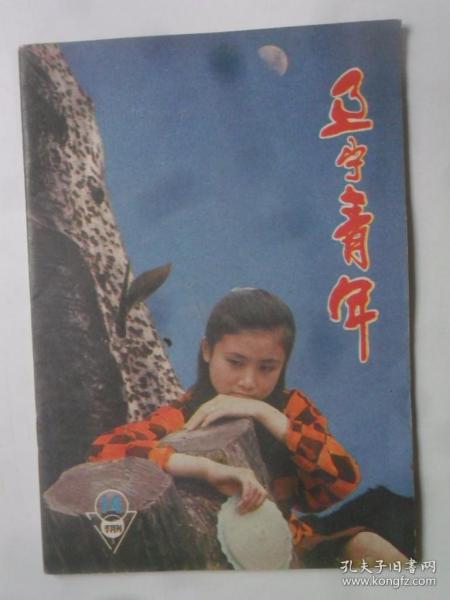 辽宁青年 1987—14 （半月刊）
