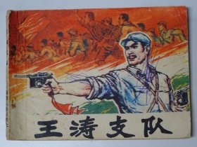 王涛支队