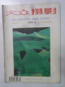 大众摄影 1995-3