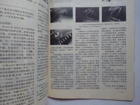 国际摄影 1982-3