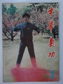 才华气功    1989-3
