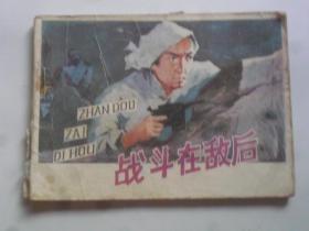 戰(zhàn)斗在敵后