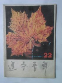 辽宁青年 1991—22 （半月刊）