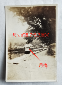 民国老照片：民国浙江绍兴—上虞县白马湖—私立春晖中学，1935年6月5日，美女学生—月梅，（赠）姐姐。有背题。——校简史：前身1908年陈春澜在小越横山创办春晖初等小学堂。1919年成立私立春晖中学校董会，王佐任主任校董，经亨颐等10人为校董。1920年经亨颐为首任校长，定址白马湖。1922年12月举行开校典礼。1937年9月，奉令附设战时民校（县立战时中学）。1941年迁址…今名浙江省春晖中学。