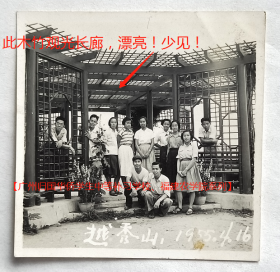 老照片：广州越秀山，1955年4月16日，此木竹观光长廊，漂亮！少见！【广州归国华侨学生中等补习学校、福建农学院系列】