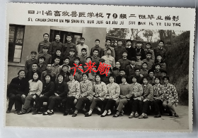 【老照片】四川荣昌——四川省畜牧兽医学校（简称四川牧医学校），1979年，七九级二班毕业。——校简史：前身为1939年的私立建华高级农业职业学校，1941年改名为四川省立高级农业职业学校，1953年改名四川省畜牧兽医学校（也称四川荣昌畜牧兽医学校）。1978年12月改建成四川畜牧兽医学院。现为西南大学荣昌校区。