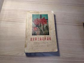 北京黄土岗花卉栽培（1963年）