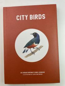 City Birds