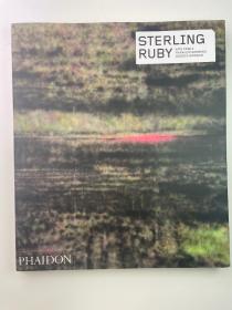 Sterling Ruby（Phaidon当代艺术家系列）  Sterling Ruby (Phaidon Contemporary Artist Series)