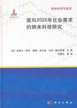 纳米科学与技术：面向2020年社会需求的纳米科技研究