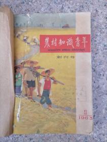 农村知识青年 1963年 创刊号 还有 1964的几本 一共8本合售 色彩封面漂亮 六十年代老期刊 稀少