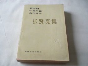 张贤亮集 海峡文艺出版社