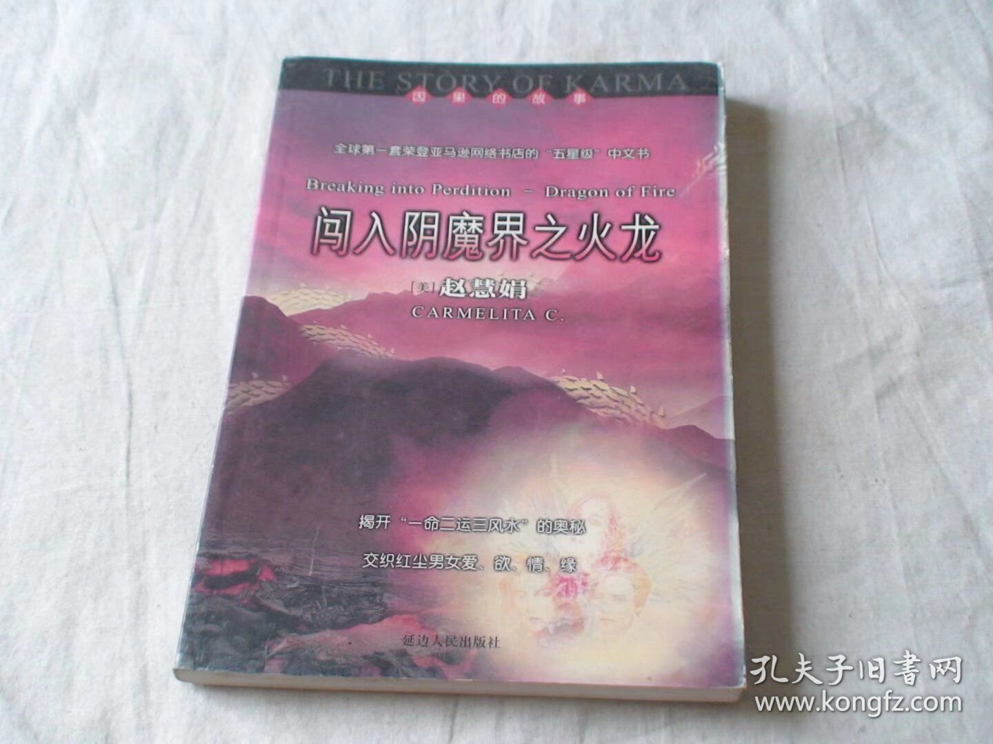 闯入阴魔界之火龙 赵慧娟著 延边人民出版社