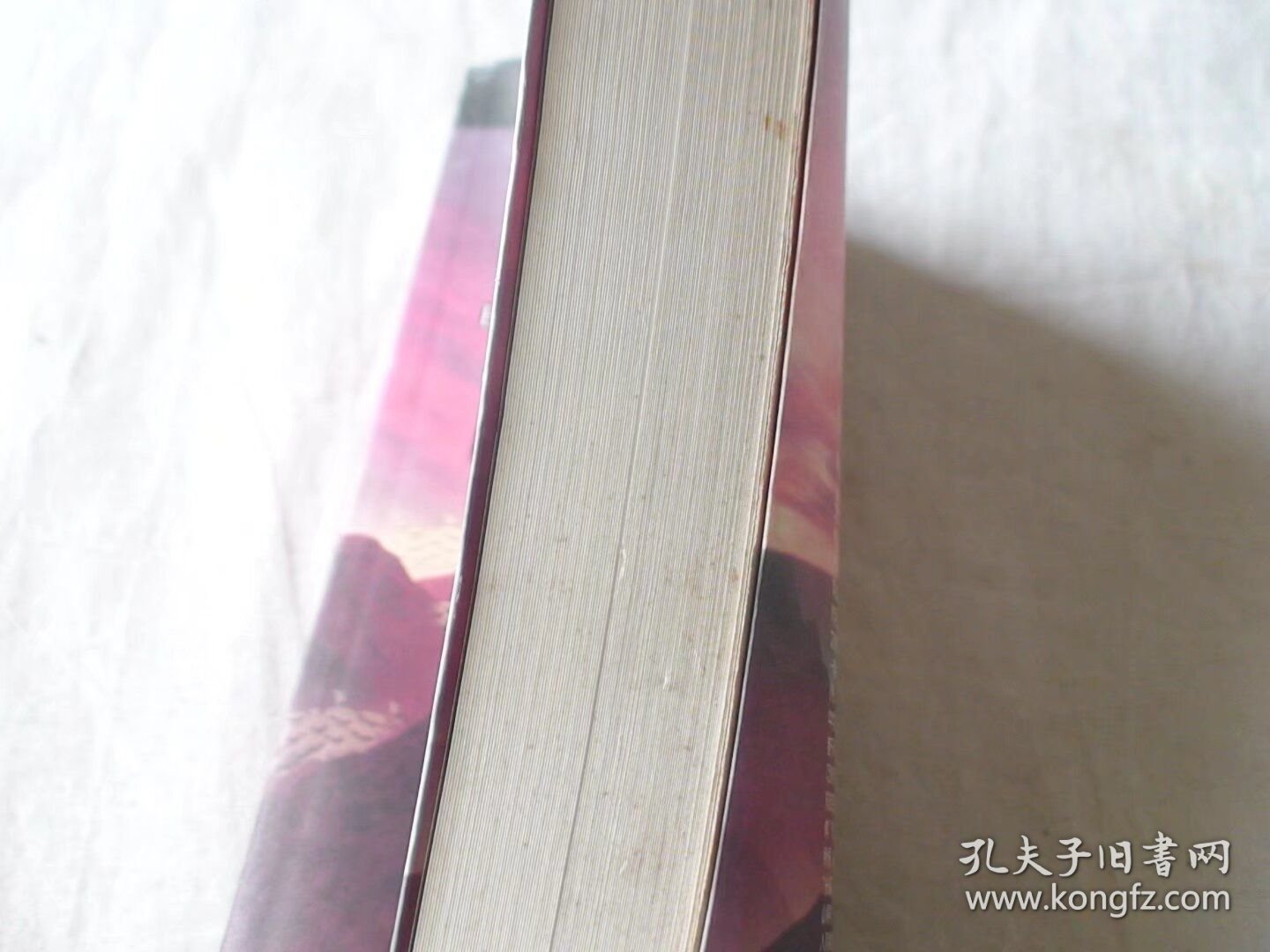闯入阴魔界之火龙 赵慧娟著 延边人民出版社