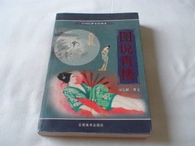 图说青楼 中国民俗史绘画本 尹杰,王曦云著 云南美术出版社