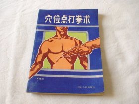 穴位点打拳术 王建斌著 河北人民出版社