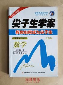 尖子生学案：数学（七年级下）（新课标·人 升级版）