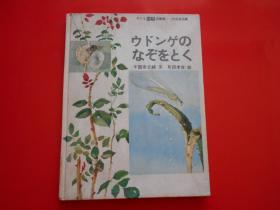 日版 日文原版 子ども科学图书馆——大日本图书  ゥドソゲのなぞをとく 千国安之辅 文、月田孝吉 绘 单行本