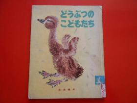 儿童书 日文原版：どうぶつのこどもたち