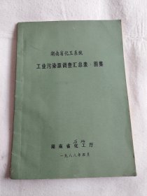 湖南省化工系统：工业污染源调查汇总表 图集