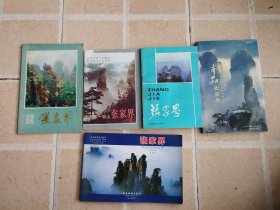 张家界+精品张家界+张家界+张家界+天下第一奇山-张家界（5本合售）
