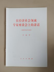 在经济社会领域专家座谈会上的讲话