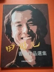 田树元书法作品选集