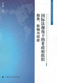 国际法视角下的非政府组织：趋势、影响与回应