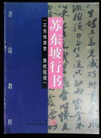 书法教程 苏东坡行书 石恪维摩赞 鱼枕冠颂