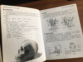 新概念美术技法权威教学 基础版：素描头像