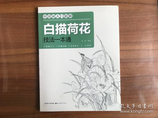 中国画入门精解：白描荷花技法一本通